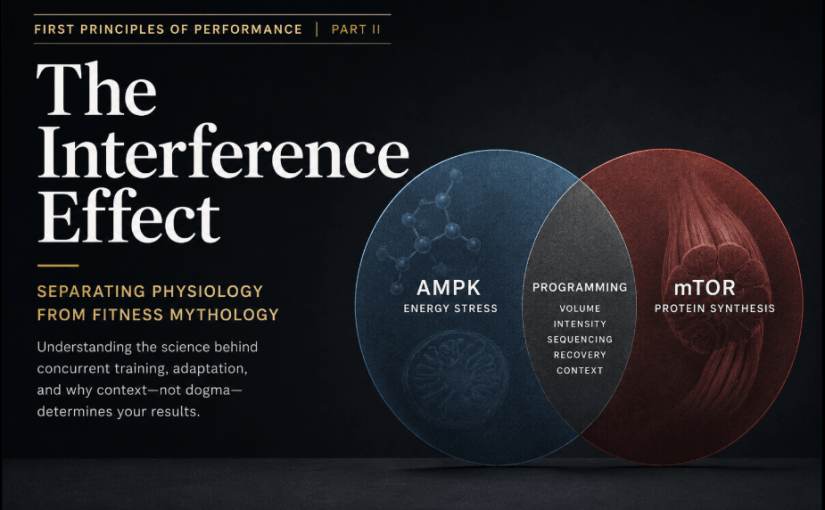 First Principles of Performance – Part&nbsp;II